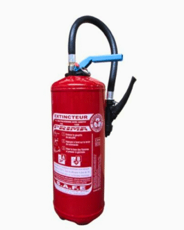 Extincteur à eau pulvérisée 6 Litres pression auxiliaire