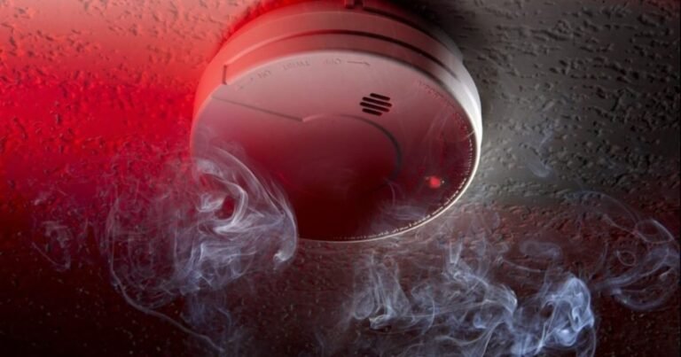 Systeme de securite incendie ssi guide des categor