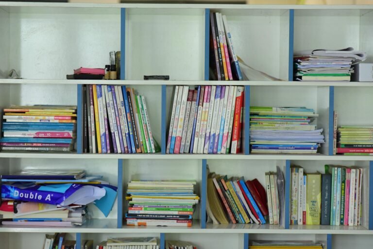 Rayonnages d'une bibliothèque d'établissement scolaire