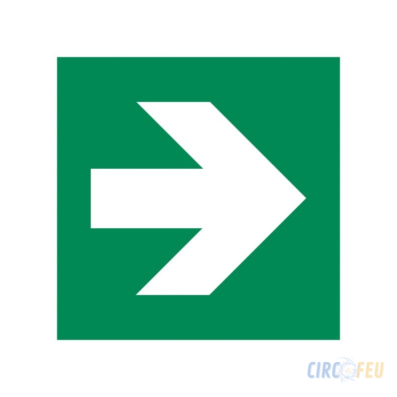 Panneau Issue de Secours Photoluminescent 200x400mm - ISO 7010 E001/E002 - CIRCOFEU Securite Incendie